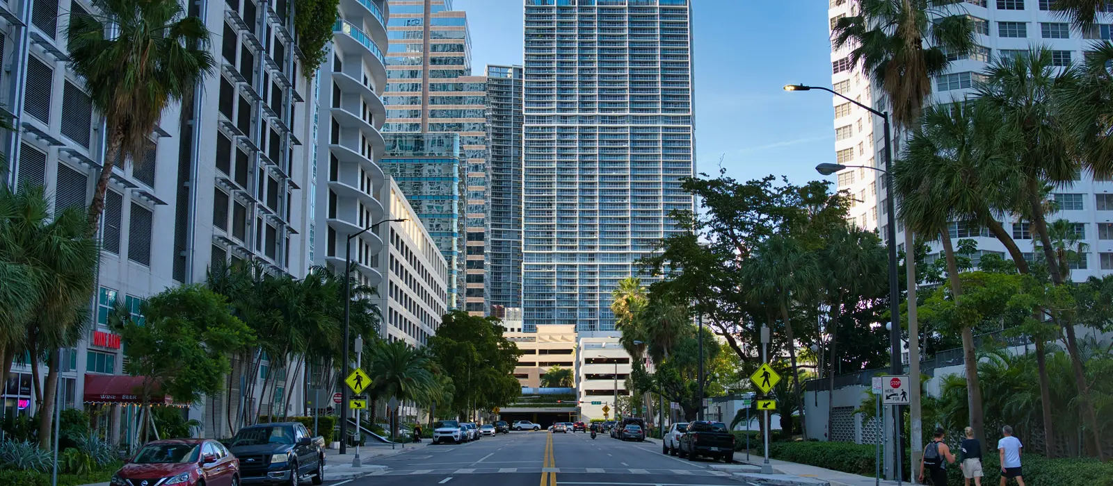 Palm-lined street framed by high-rise buildings in Downtown Miami