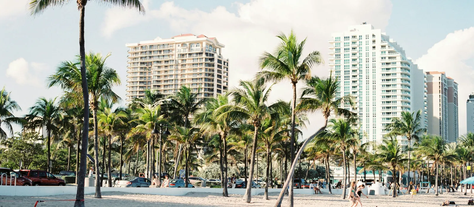 Palm trees and beachfront buildings beside a sandy beach