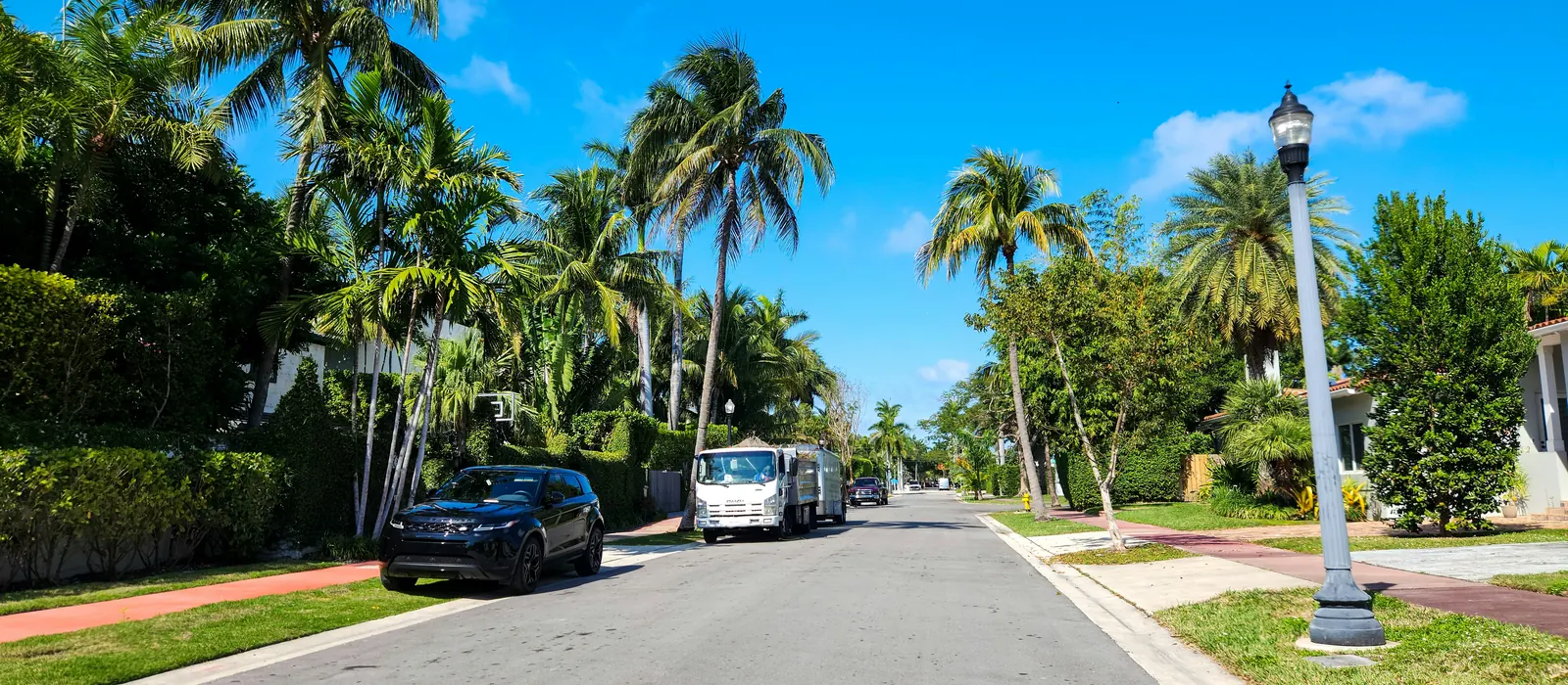 Palm-lined residential street under a blue sky